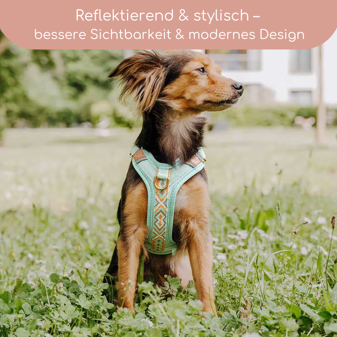 Très Chic Hundegeschirr – Komfort, Sicherheit & Stil in Perfektion Mint/Orange