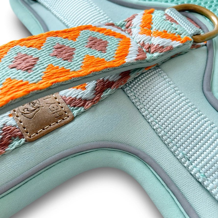Hundegeschirr – Mint/Orange – Kollektion Très Chic von Hey Lana - Pfotenlieblinge