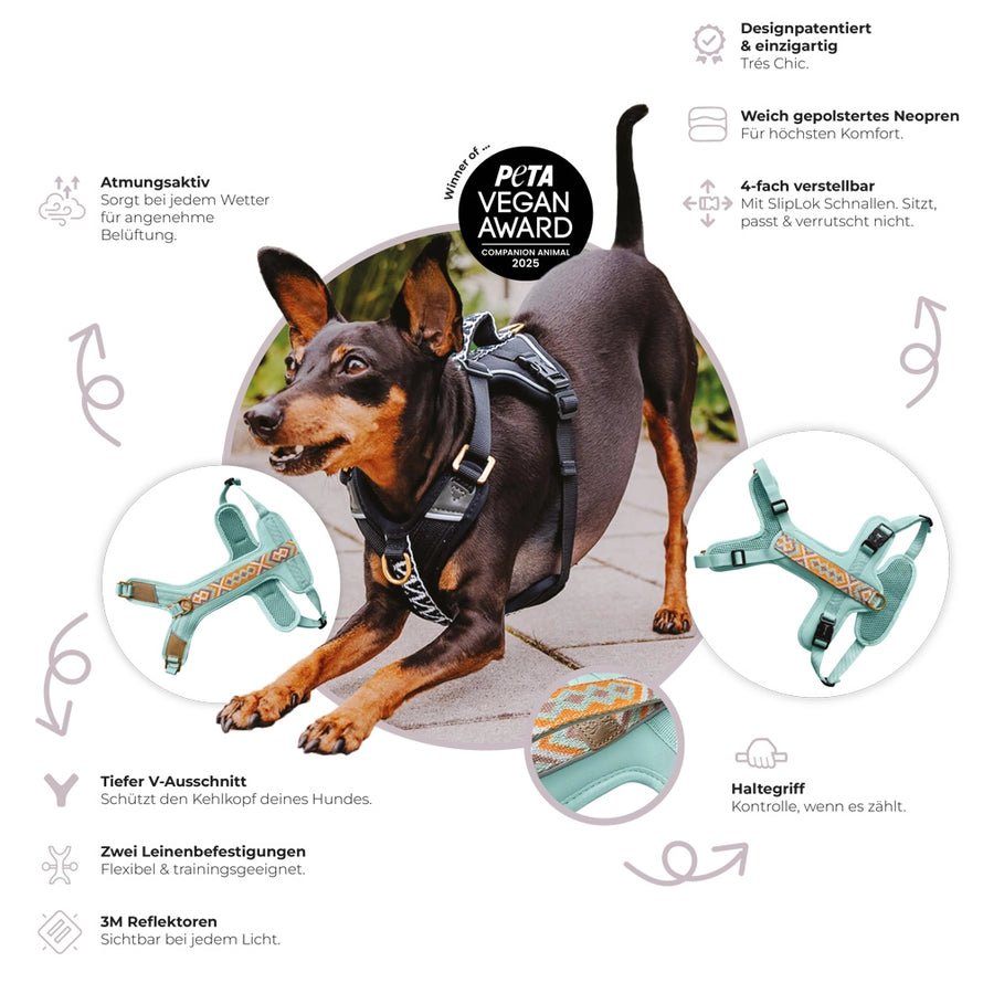 Hundegeschirr – Mint/Orange – Kollektion Très Chic von Hey Lana - Pfotenlieblinge