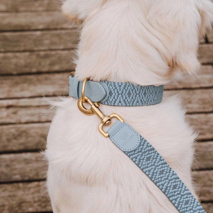 Hundehalsband – Anthrazit/Eisblau – Kollektion Très Chic Hey Lana - Pfotenlieblinge