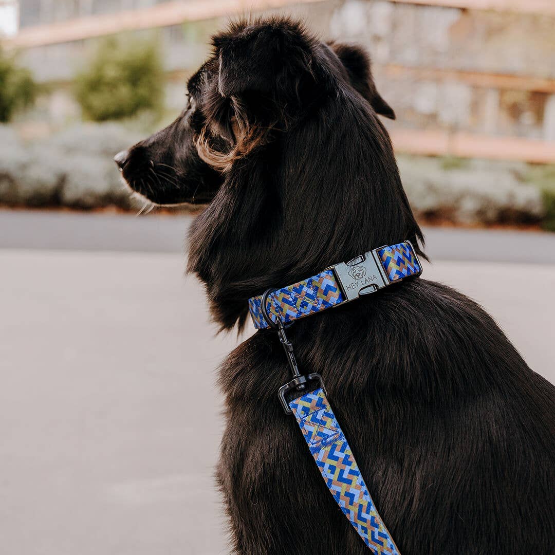 Hundehalsband Kunterbunt – Mocca/Blau - Pfotenlieblinge