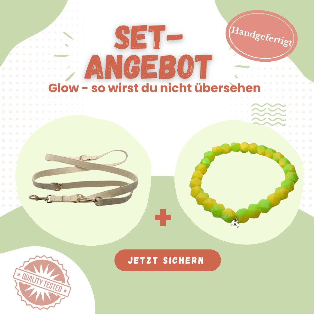Hundeleuchtkette „Honeydew Melon“ – ohne Strom - Pfotenlieblinge