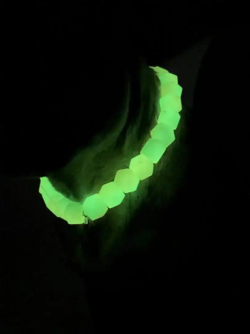 Hundeleuchtkette „Honeydew Melon“ – ohne Strom - Pfotenlieblinge