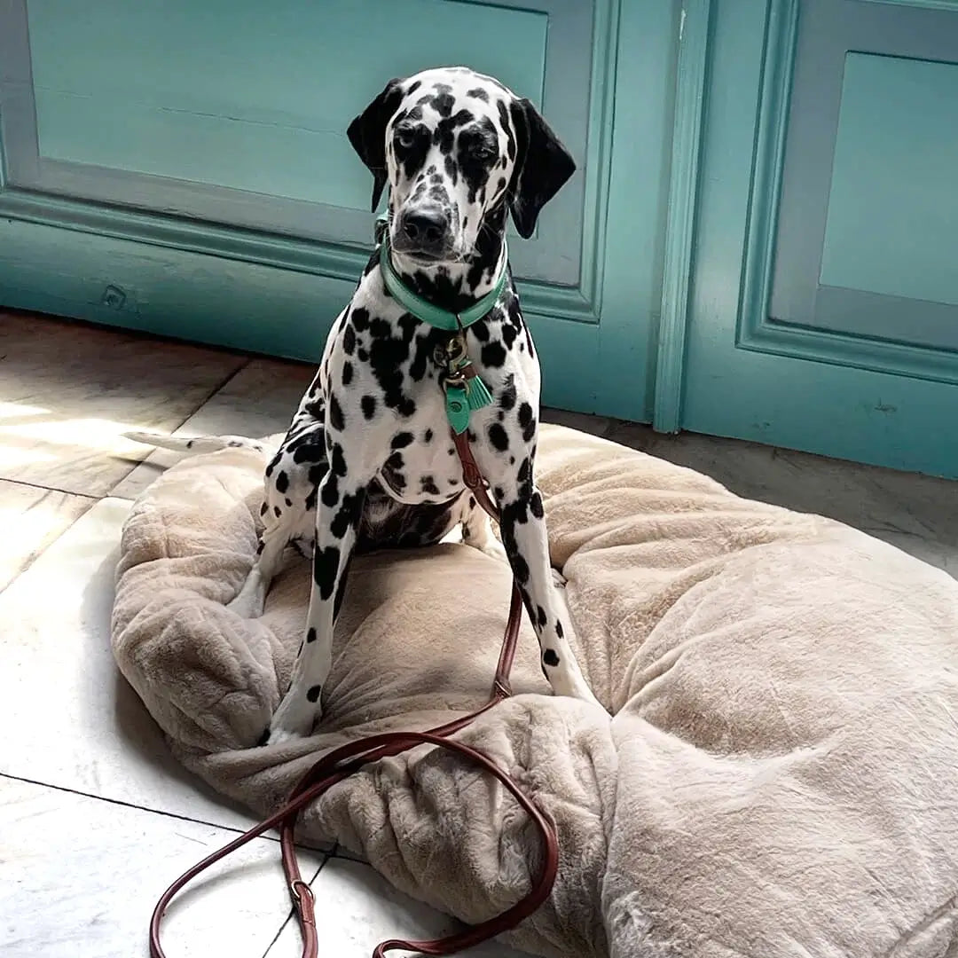 Snoozy Hundekissen – Weiches Schaffell-Design für traumhaften Komfort