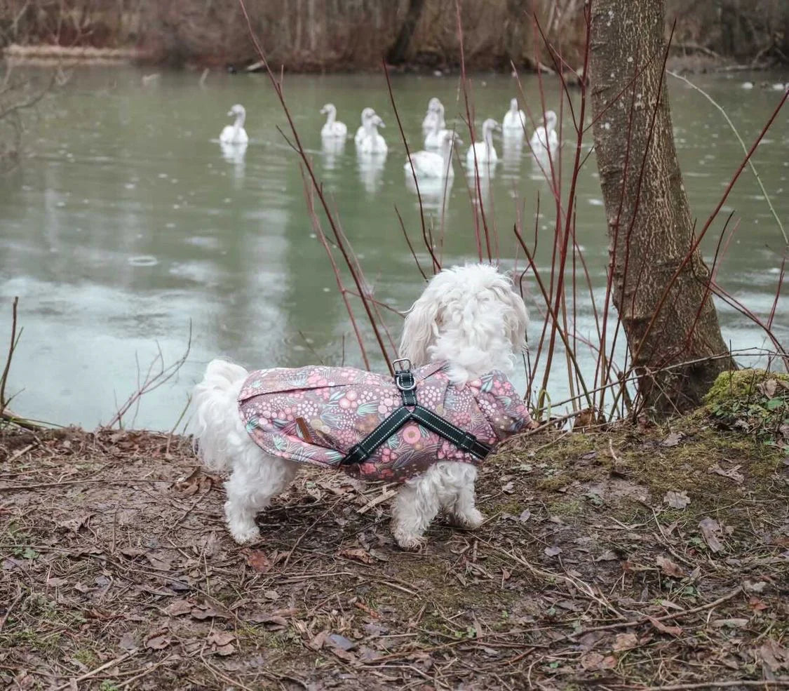 Jacke mit Geschirr - Zauberwald