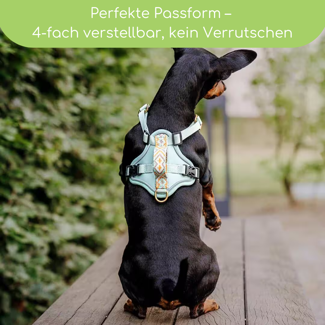 Très Chic Hundegeschirr – Komfort, Sicherheit & Stil in Perfektion Mint/Orange