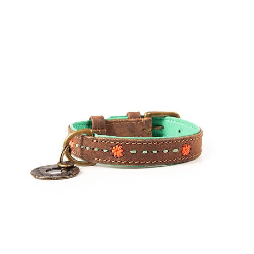 Joplin Lederhalsband Braun/Türkis – Handgefertigt & Stilvoll - Pfotenlieblinge