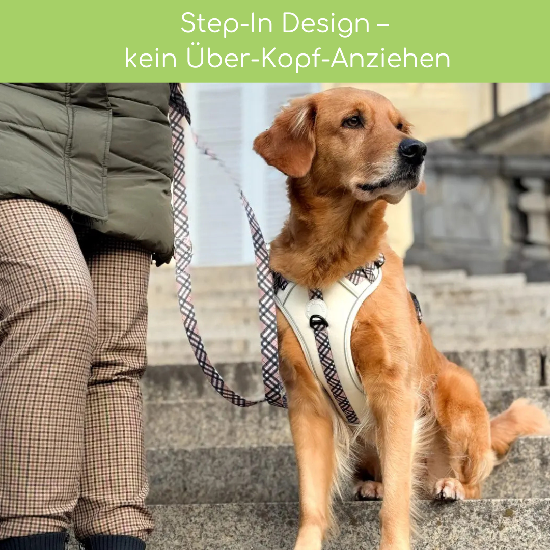 Leuchtendes Step-In Hundegeschirr