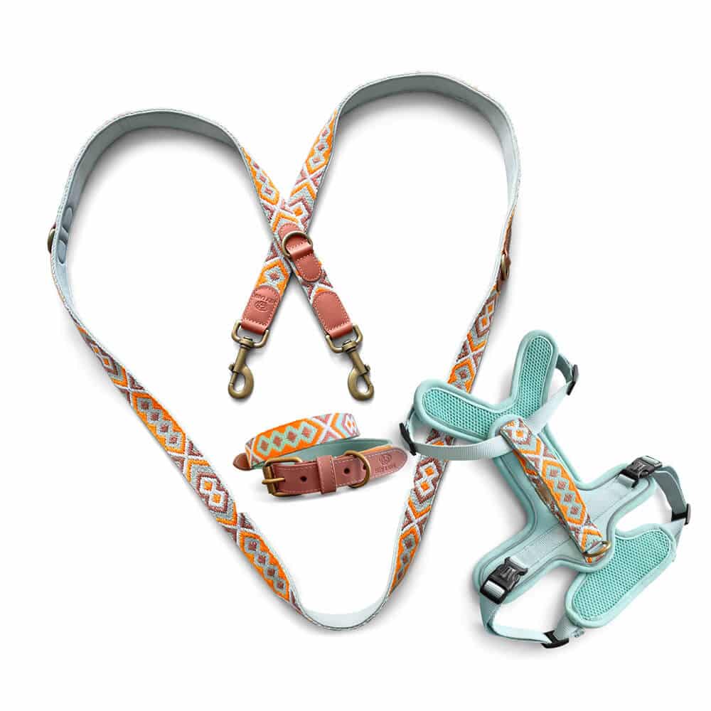 Set Hundehalsband, Leine und Geschirr – Mint/Orange