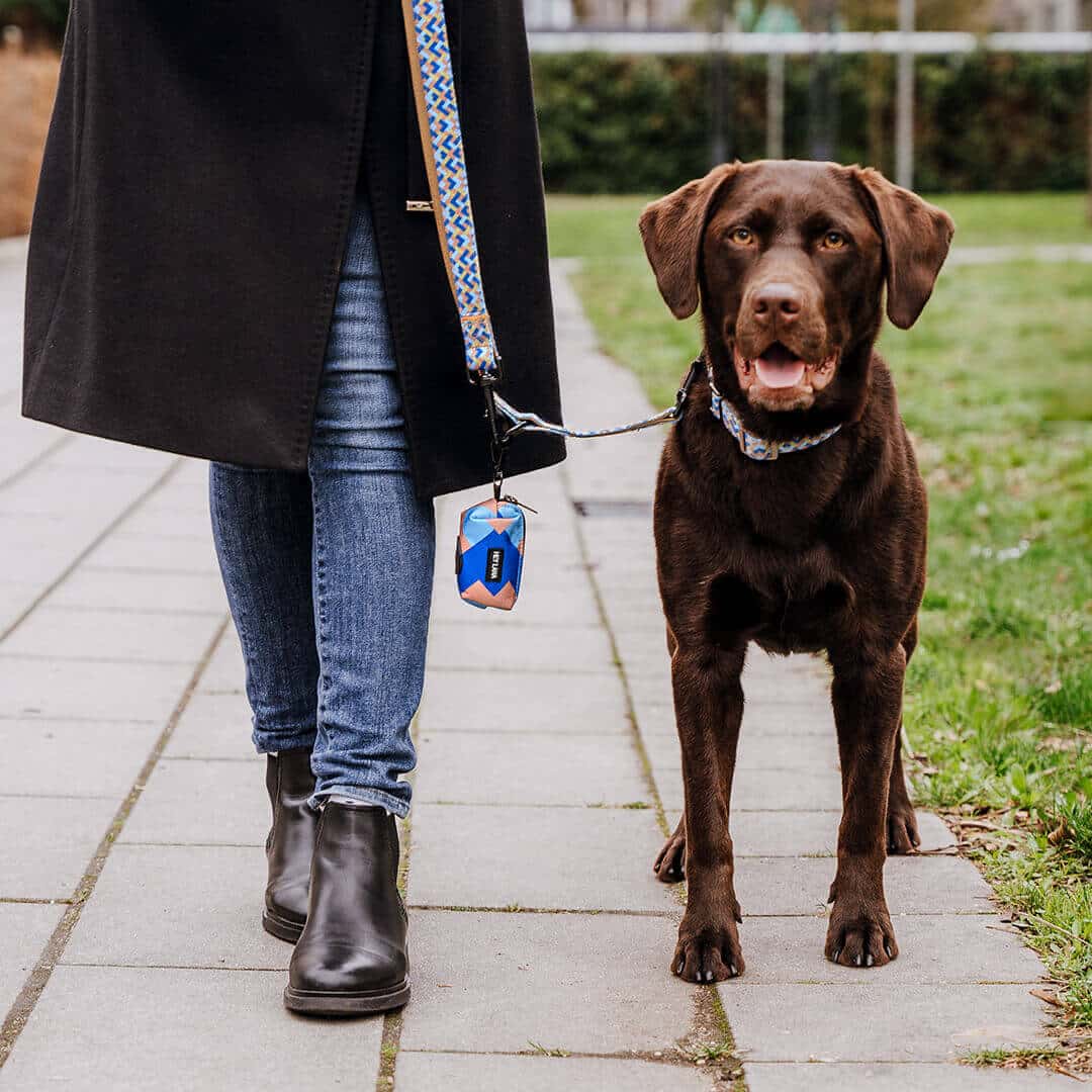 Kotbeutelspender - Heißer Scheiß - Mocca/Blau - Pfotenlieblinge
