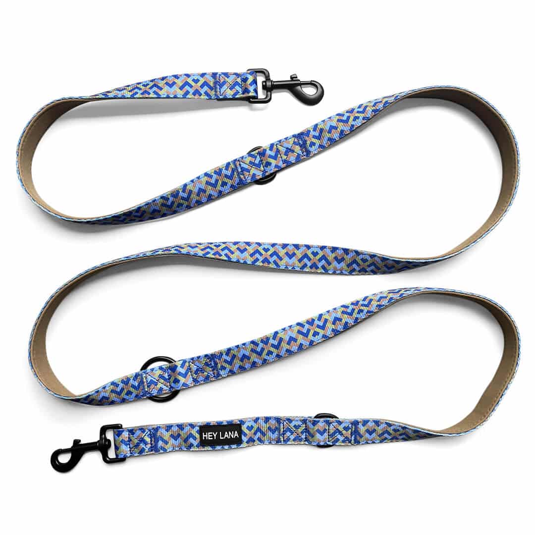 Set Hundehalsband, Leine und Geschirr - Mocca/Blau
