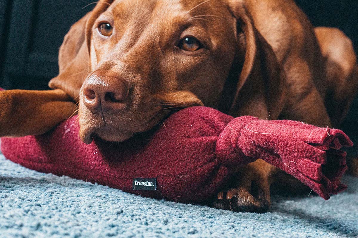 Kuschelwurst Pelle - Pfotenlieblinge