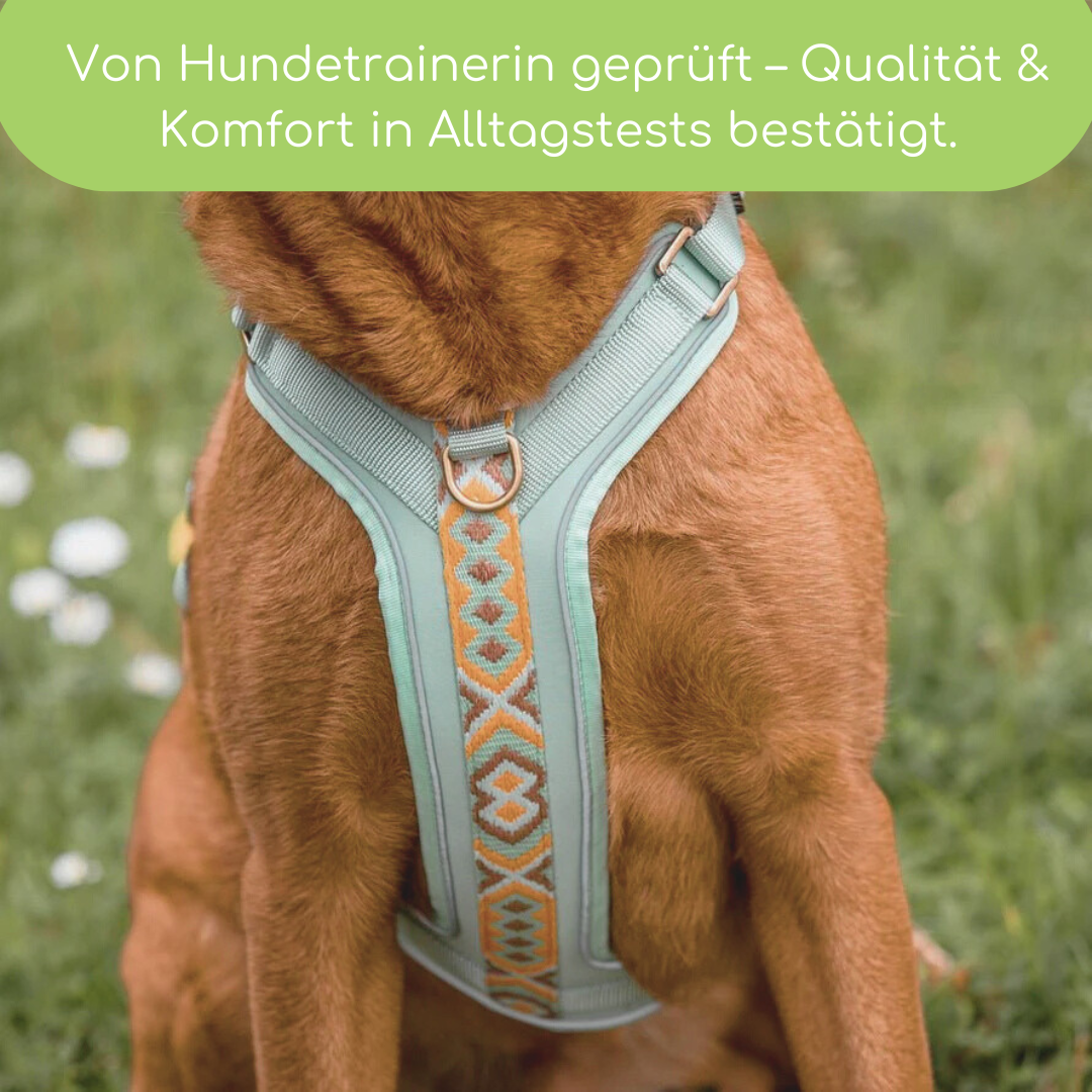 Très Chic Hundegeschirr – Komfort, Sicherheit & Stil in Perfektion Mint/Orange