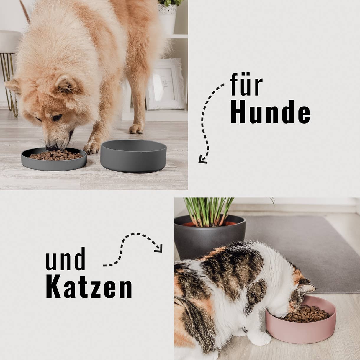 NENO Silikon - Futternapf mit Deckel – Praktisch, vielseitig & durchdacht - Pfotenlieblinge