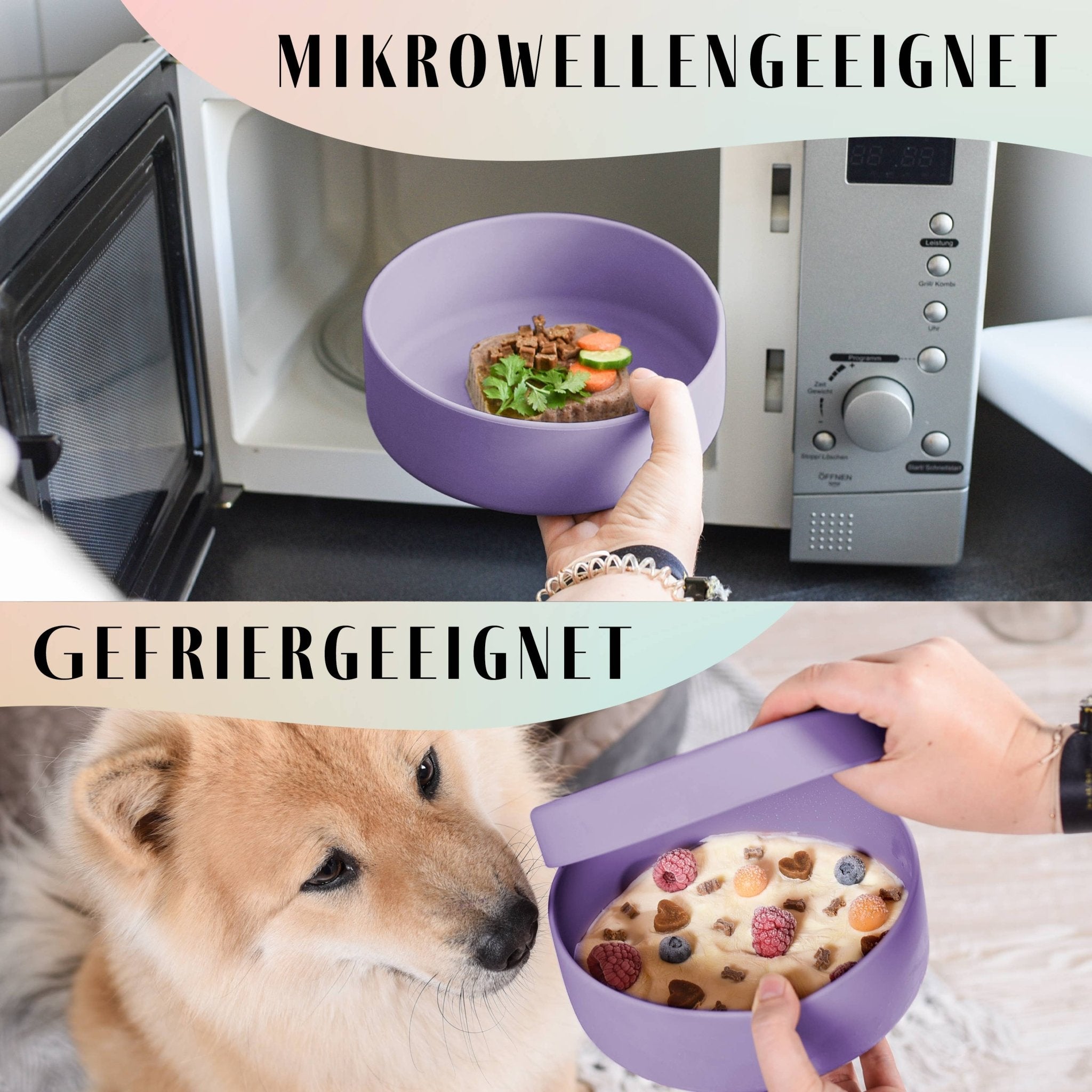 NENO Silikon - Futternapf mit Deckel – Praktisch, vielseitig & durchdacht - Pfotenlieblinge