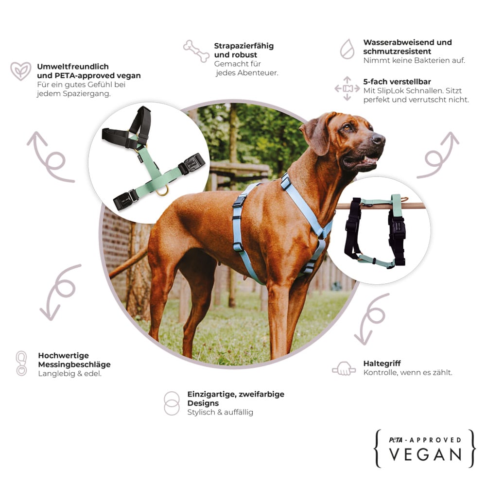 Outdoor FLEX Führgeschirr – 5 - fach verstellbar mit Haltegriff (Taupe/Blau) - Pfotenlieblinge