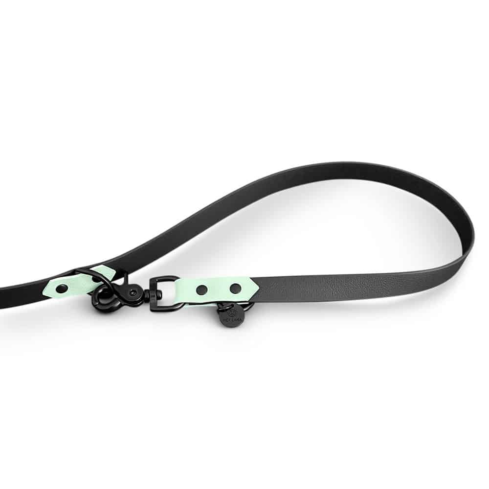 Outdoor SPORT Führleine – 3 - fach verstellbar, 230 cm – Schwarz/Mint - Pfotenlieblinge
