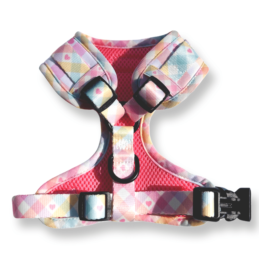 Pastel Vichy Hundegeschirr – verstellbar, weich & atmungsaktiv - Pfotenlieblinge
