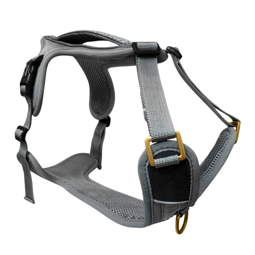Premium Hundegeschirr – Anthrazit/Eisblau - Kollektion Tres Chic - Pfotenlieblinge