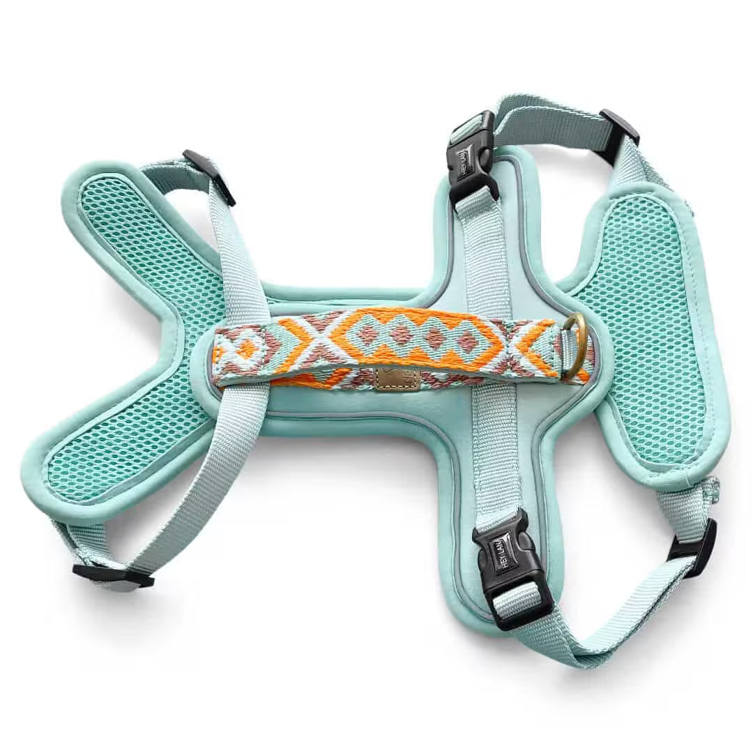 Très Chic Hundegeschirr – Komfort, Sicherheit & Stil in Perfektion Mint/Orange