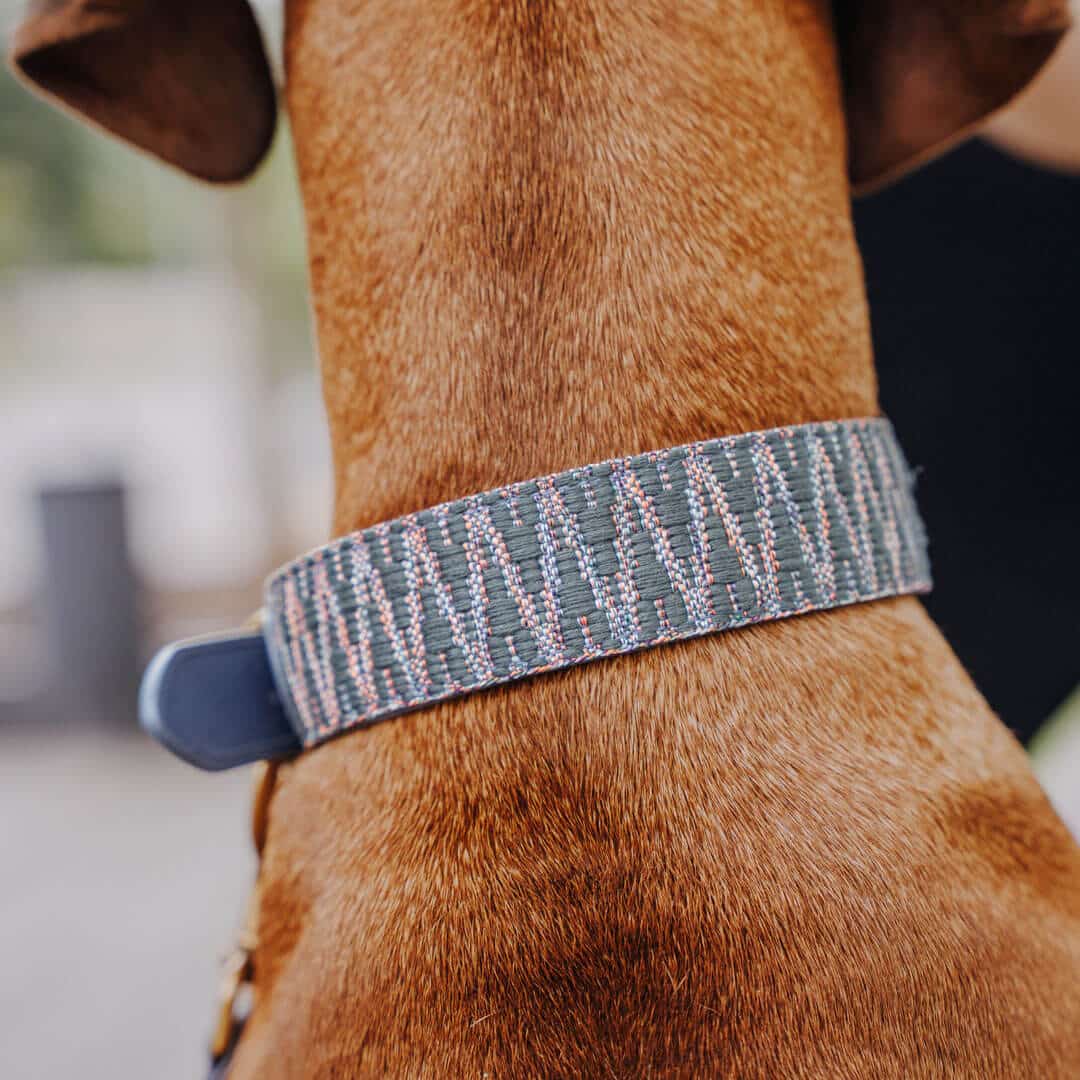 Sparset: Halsband & Leine in Blau/Grau