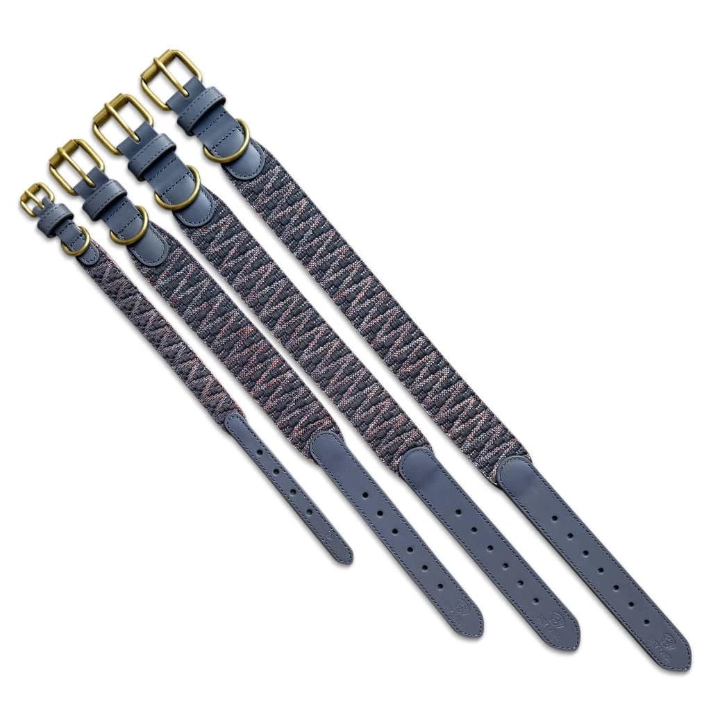 Premium Hundehalsband gepolstert Blau/Grau - Pfotenlieblinge