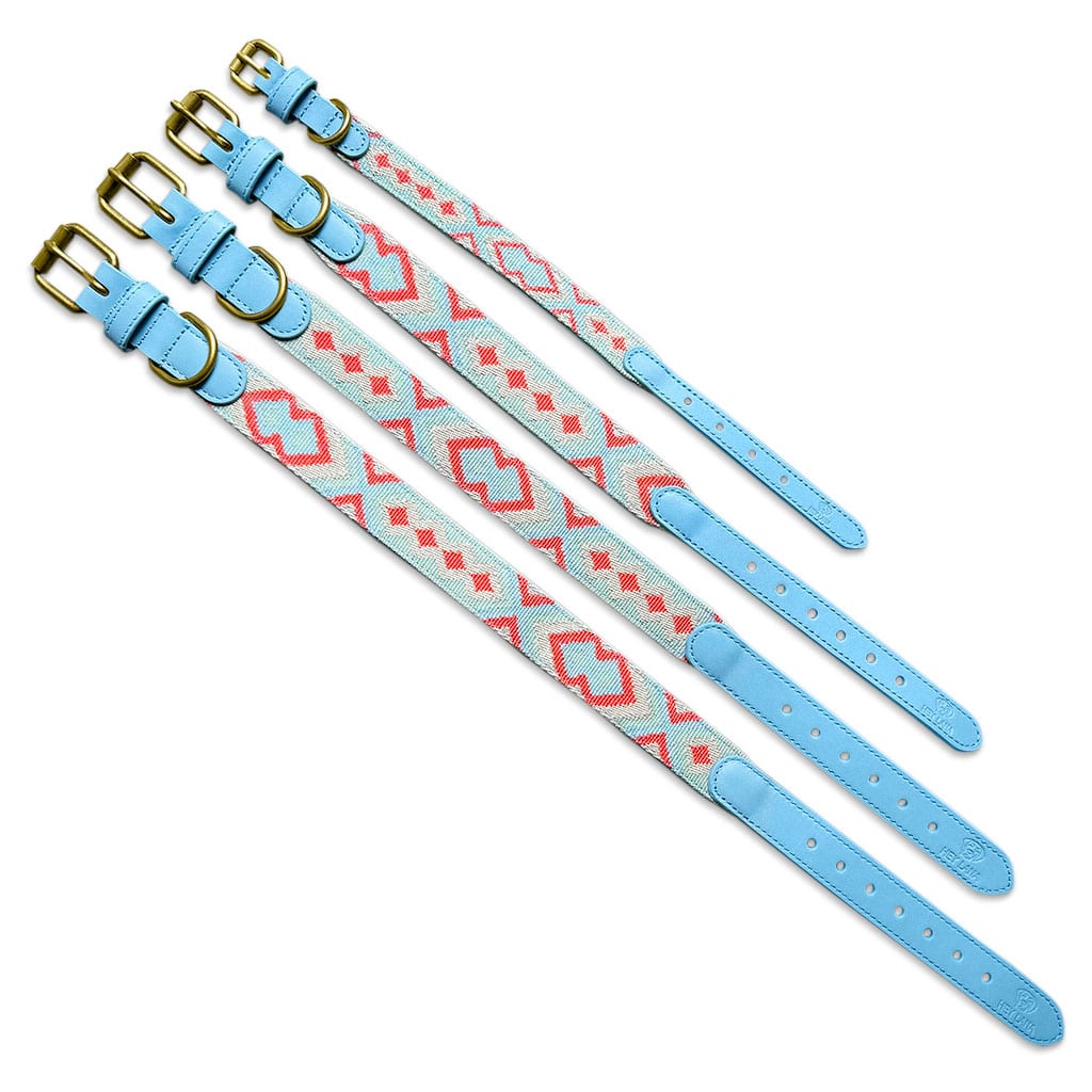 Premium Hundehalsband gepolstert Coral/Blau - Pfotenlieblinge
