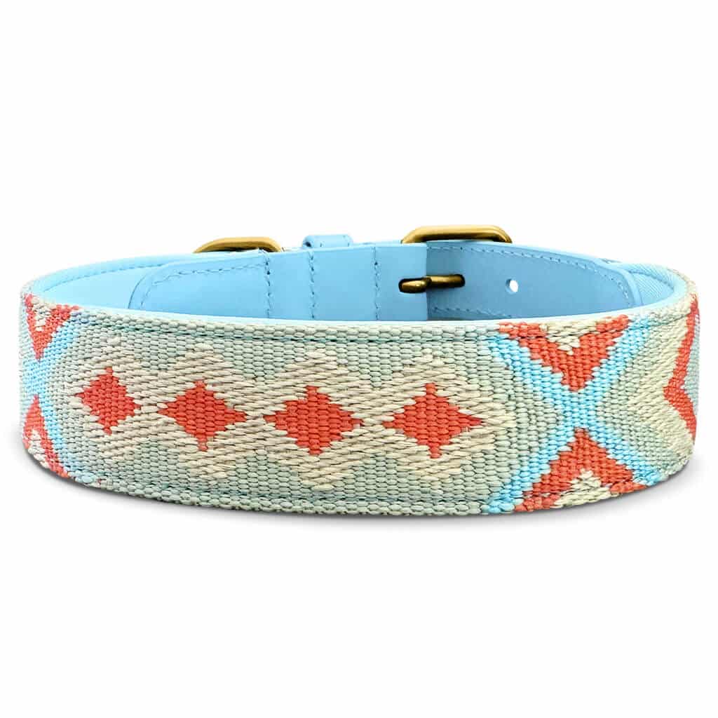 Premium Hundehalsband gepolstert Coral/Blau - Pfotenlieblinge