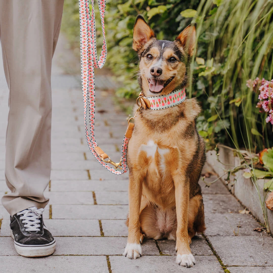 Hundehalsband – Pink/Beige – Kollektion Très Chic Hey Lana - Pfotenlieblinge