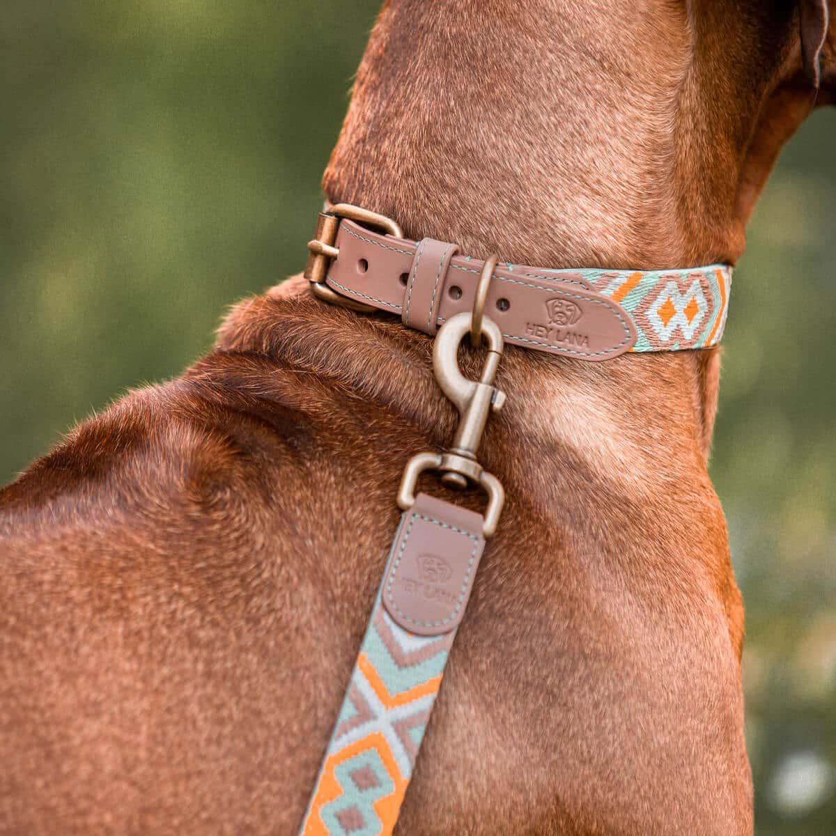 Sparset: Halsband & Leine in Mint/grün