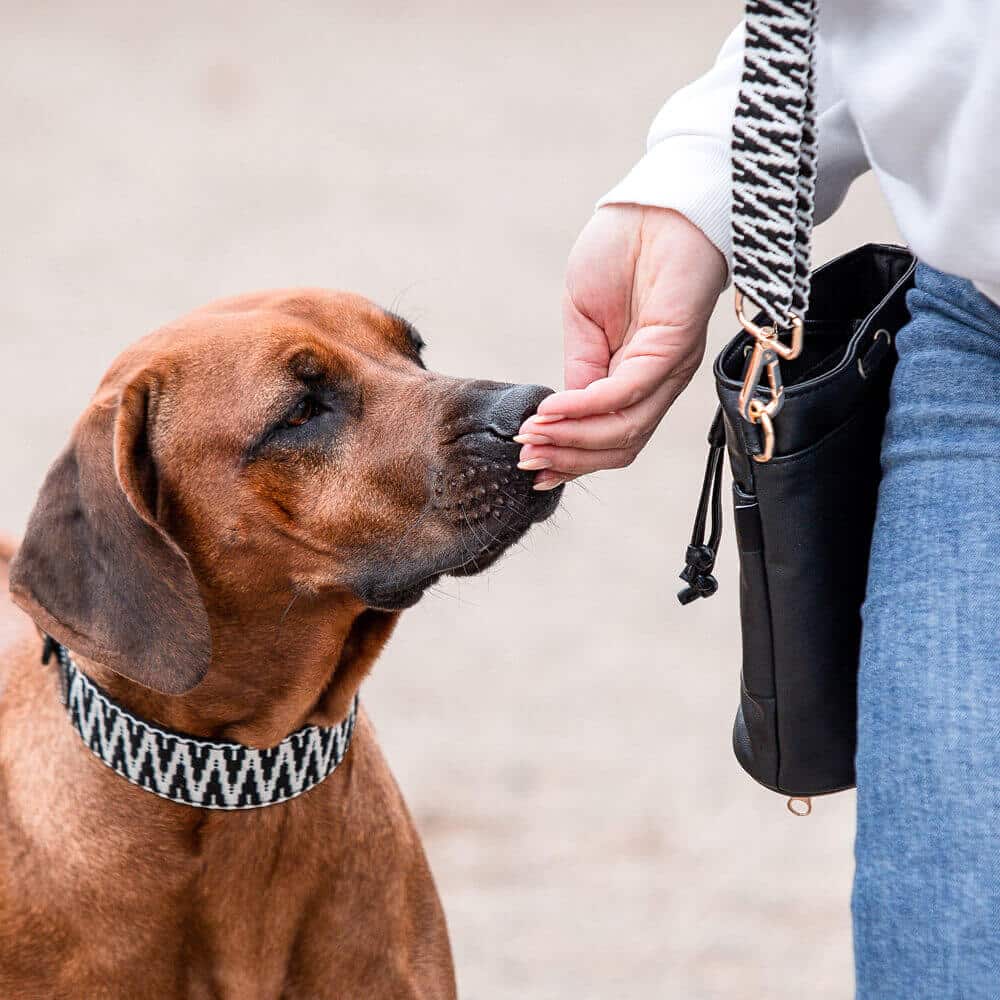 Premium Leckerlibeutel – All - in - One in Schwarz/Weiß - Pfotenlieblinge