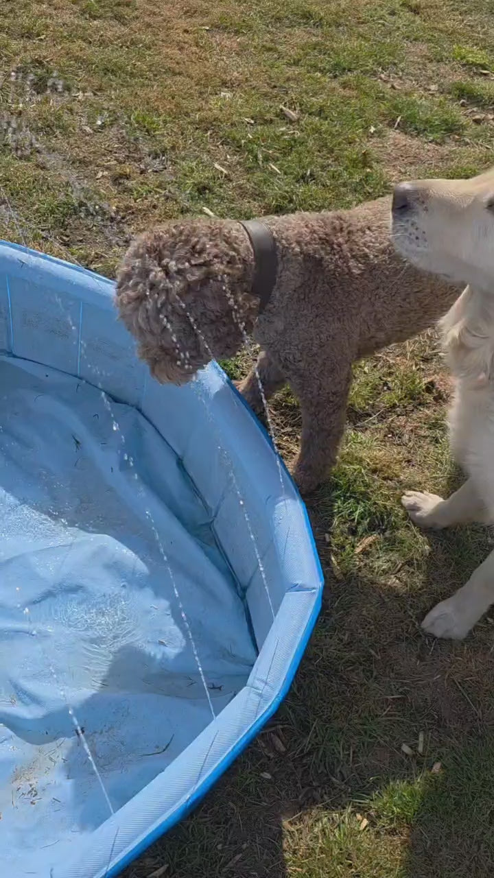 Hunde-Sprinkler Pool – Wasserspaß & Abkühlung Ø 120 cm