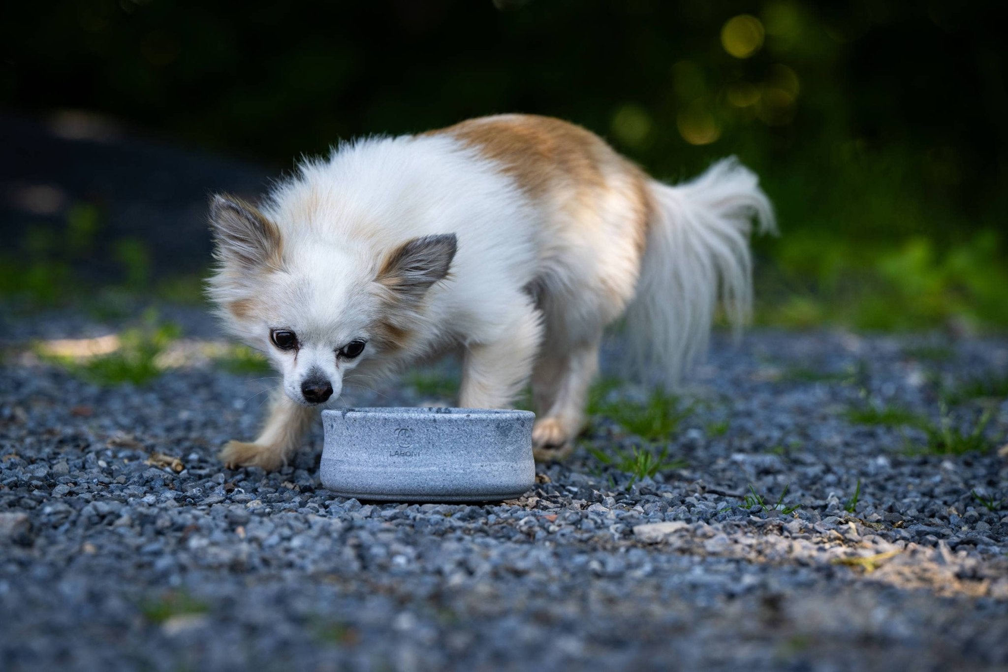 ROCKY Naturstein - Napf – selbstkühlend, stilvoll & massiv - Pfotenlieblinge
