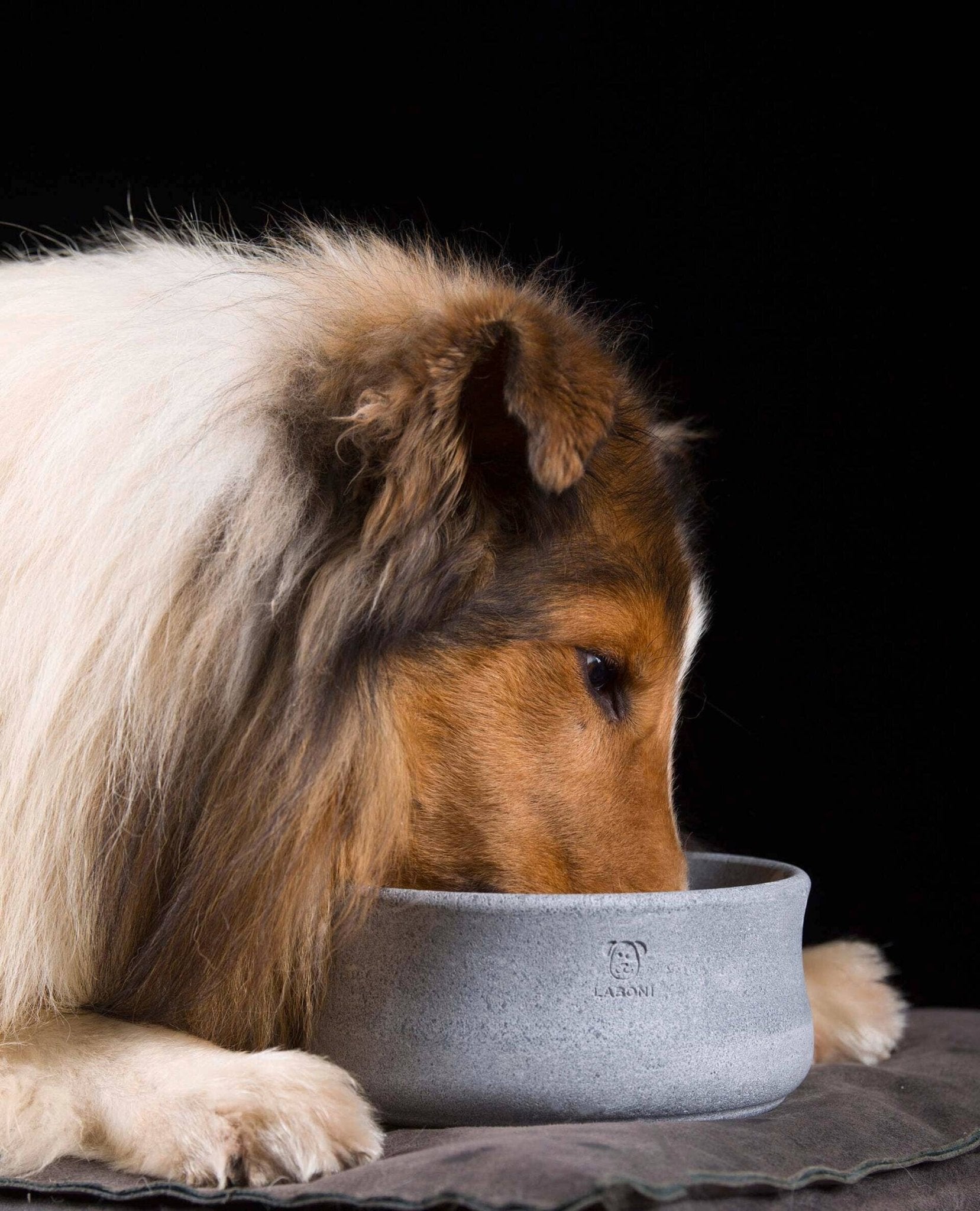 ROCKY Naturstein - Napf – selbstkühlend, stilvoll & massiv - Pfotenlieblinge