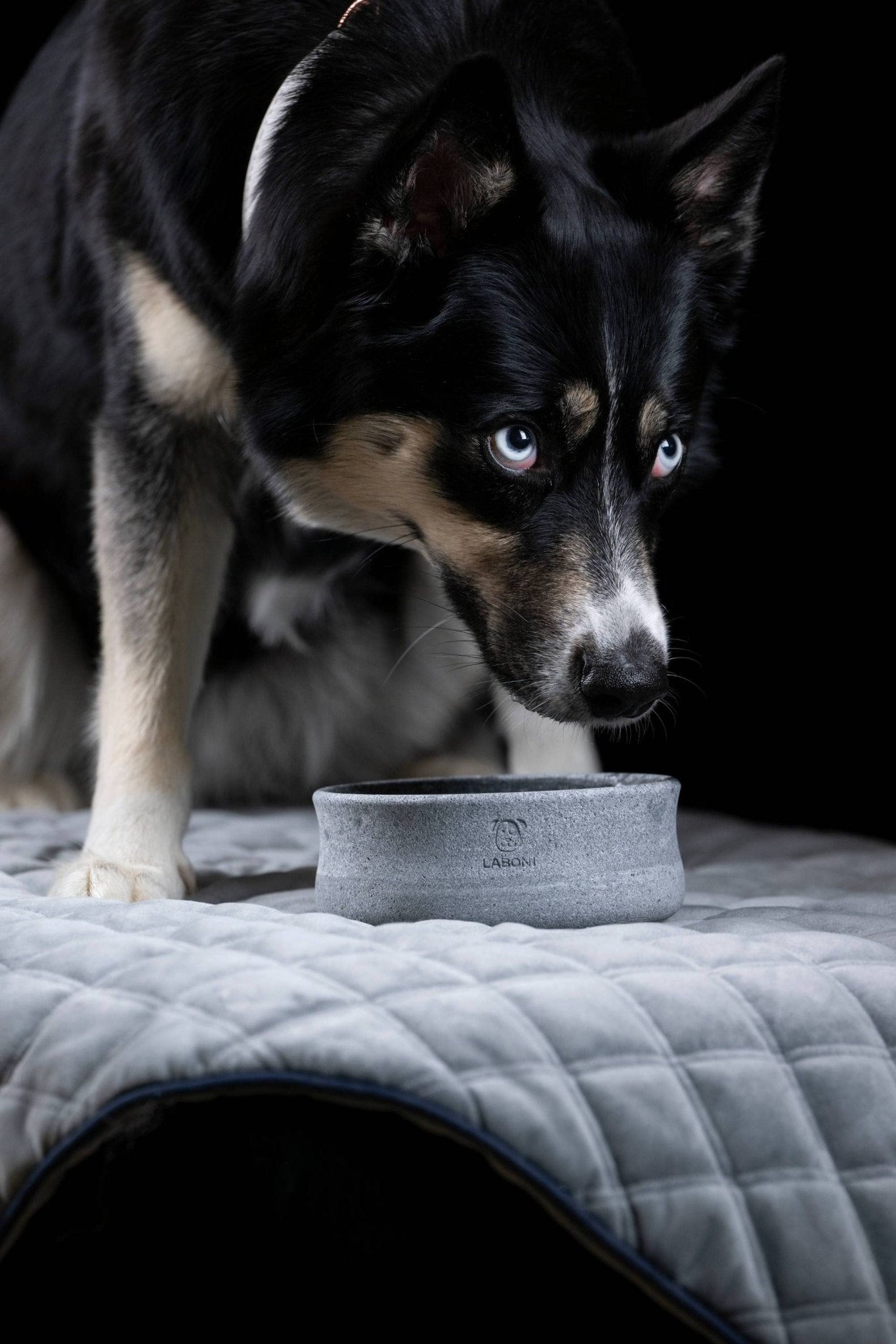 ROCKY Naturstein - Napf – selbstkühlend, stilvoll & massiv - Pfotenlieblinge