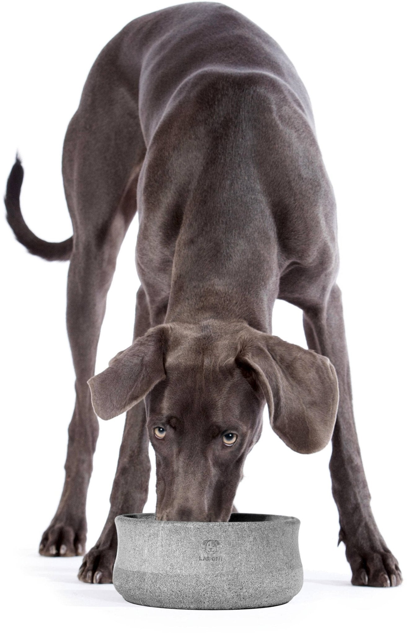 ROCKY Naturstein - Napf – selbstkühlend, stilvoll & massiv - Pfotenlieblinge