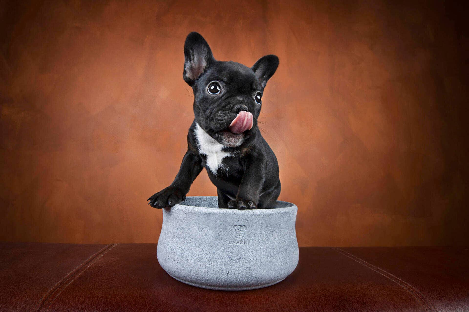 ROCKY Naturstein - Napf – selbstkühlend, stilvoll & massiv - Pfotenlieblinge