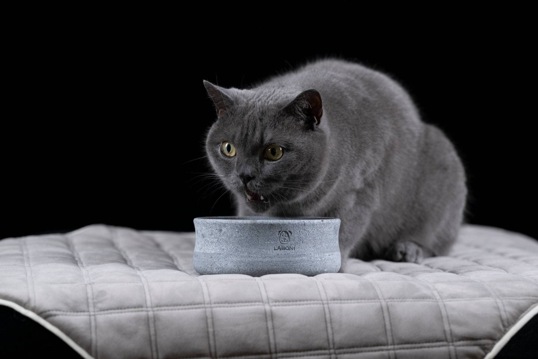 ROCKY Naturstein - Napf – selbstkühlend, stilvoll & massiv - Pfotenlieblinge