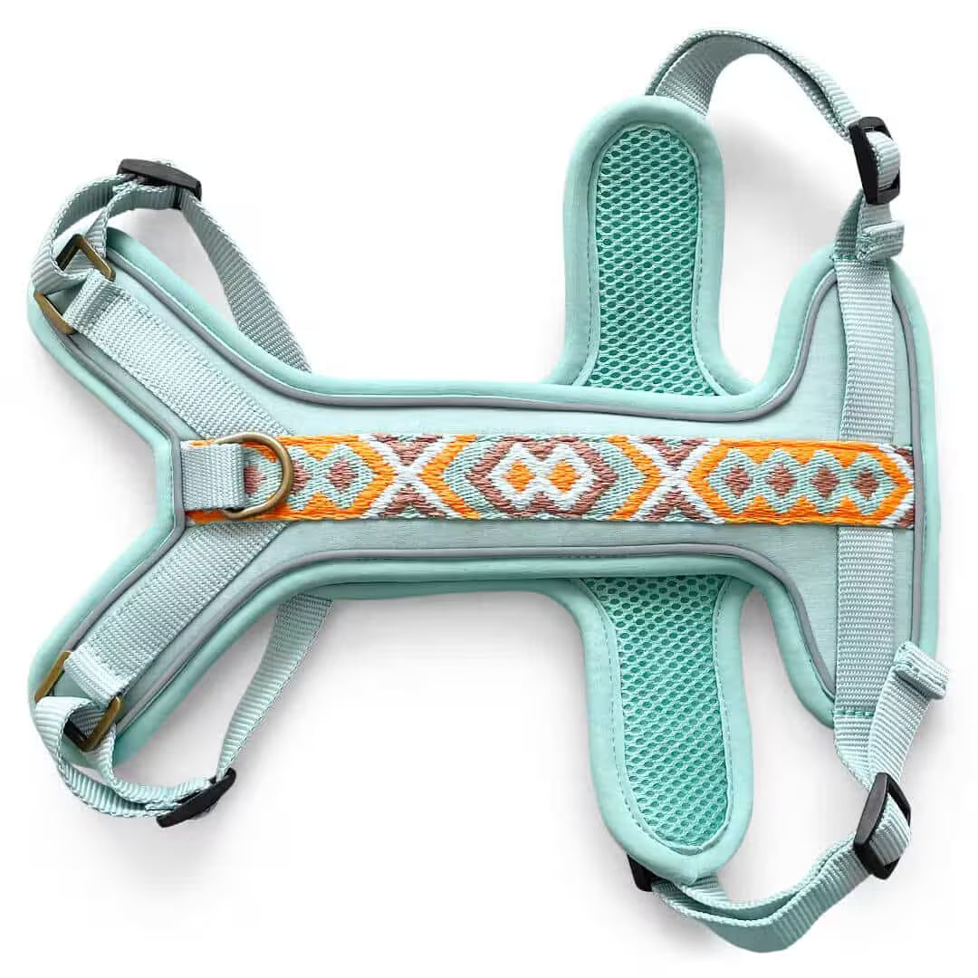 Très Chic Hundegeschirr – Komfort, Sicherheit & Stil in Perfektion Mint/Orange