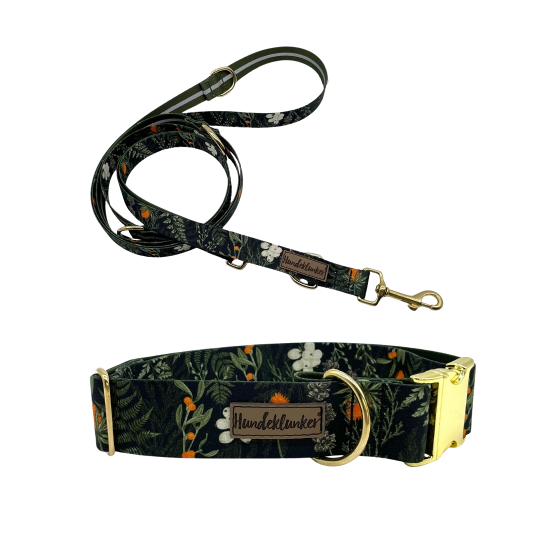 Forest Walkies Set – Nachhaltige Leine & Halsband aus rPet & Kaktusleder, handgemacht