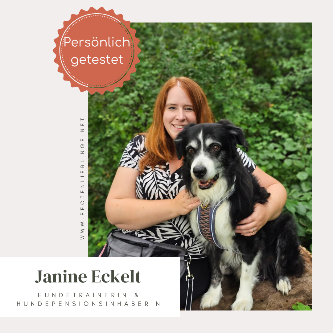 Reflektor-Halsband Cappuccino – vegan & handgemacht