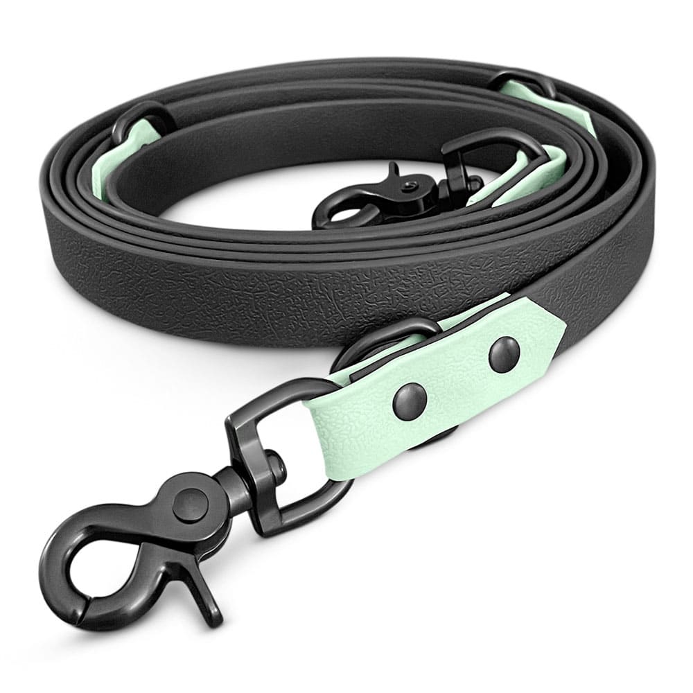Schmutzabweisendes Geschirr & Leine (Set) in Schwarz/Mint - Pfotenlieblinge