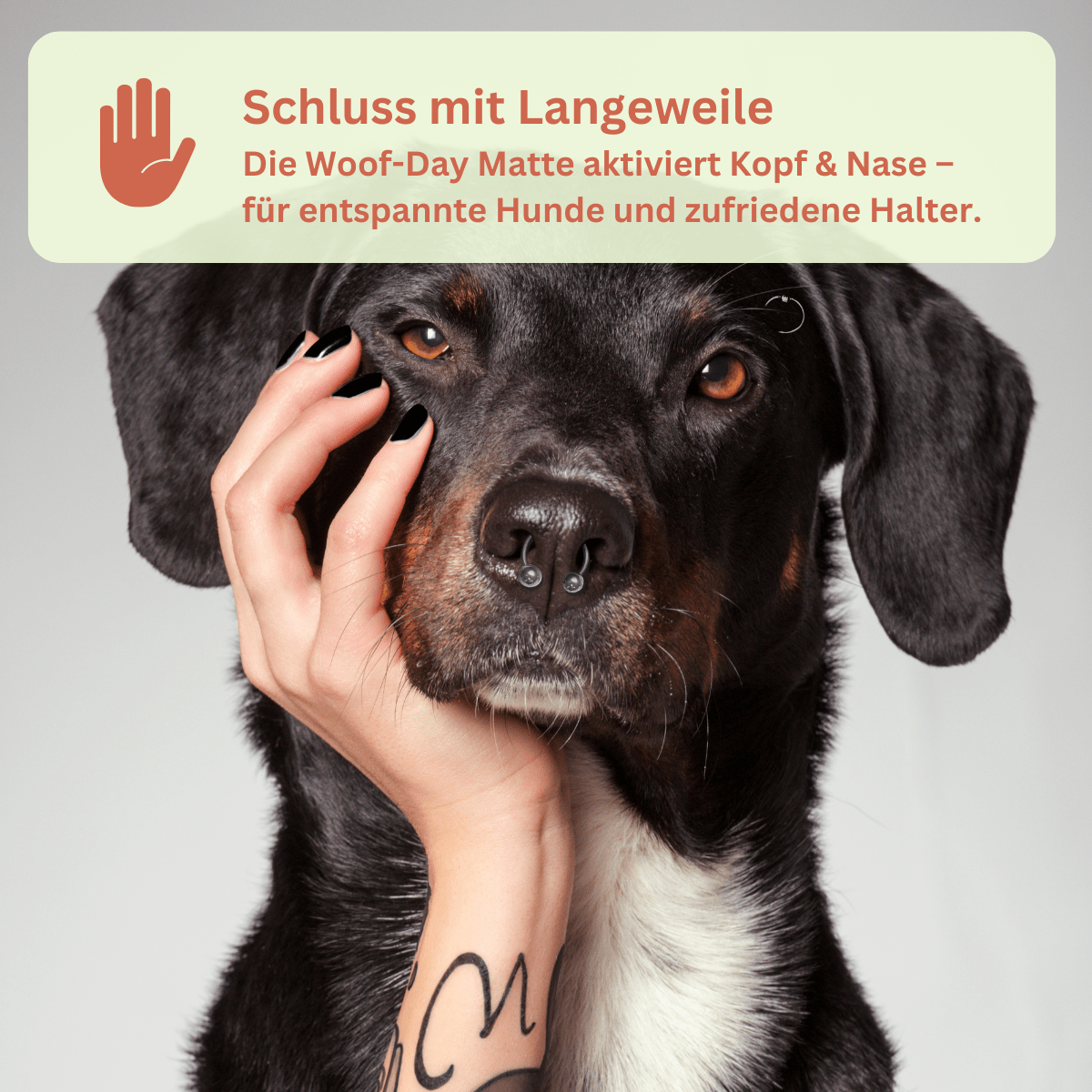 Schnüffelmatte Woof - Day – Die kunterbunte Feier für deine Fellnase - Pfotenlieblinge