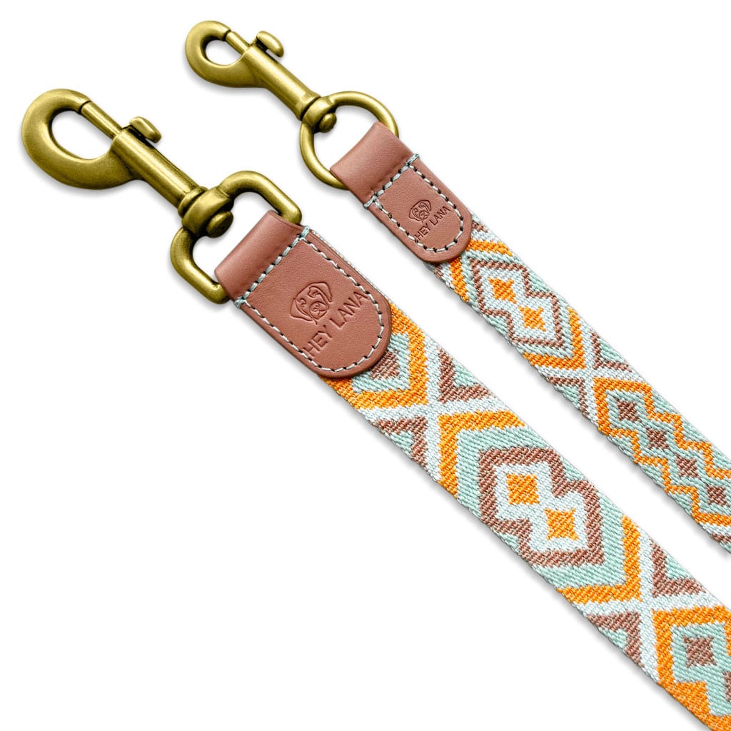 Set Hundehalsband, Leine und Geschirr – Mint/Orange - Pfotenlieblinge