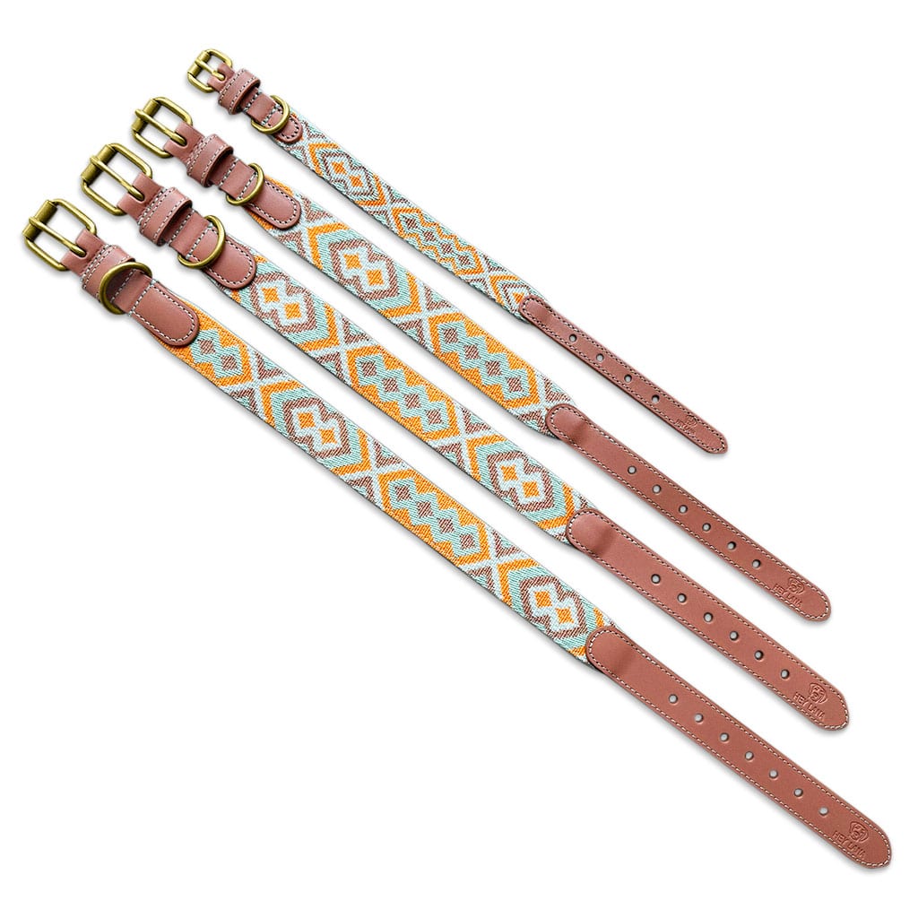 Set Hundehalsband, Leine und Geschirr – Mint/Orange - Pfotenlieblinge