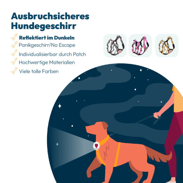 StyleSnout® Patch&Safe Sicherheitsgeschirr – ausbruchsicher & gepolstert gold