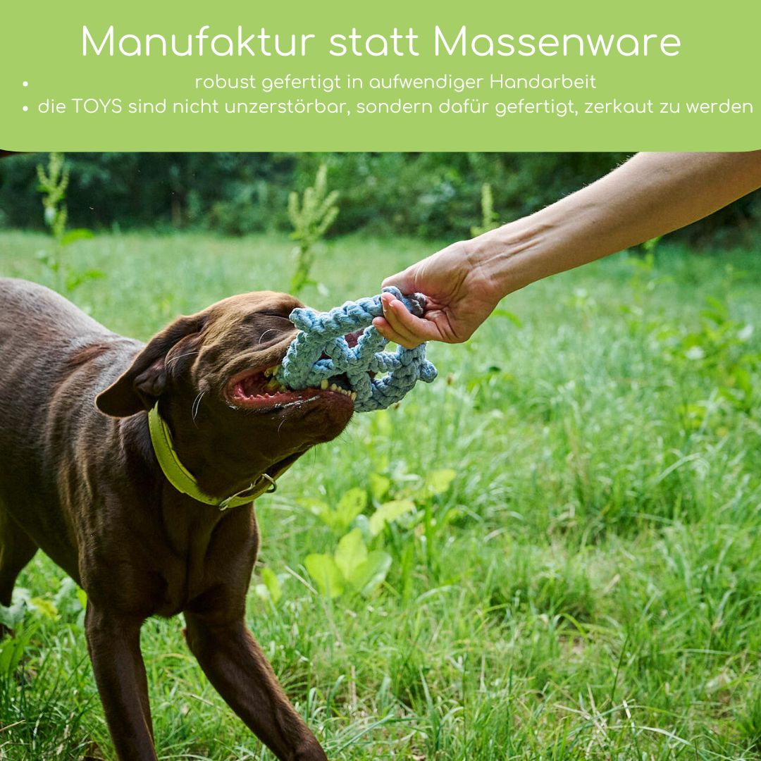 Skipper - Kult - Spielzeug für Hunde - Pfotenlieblinge