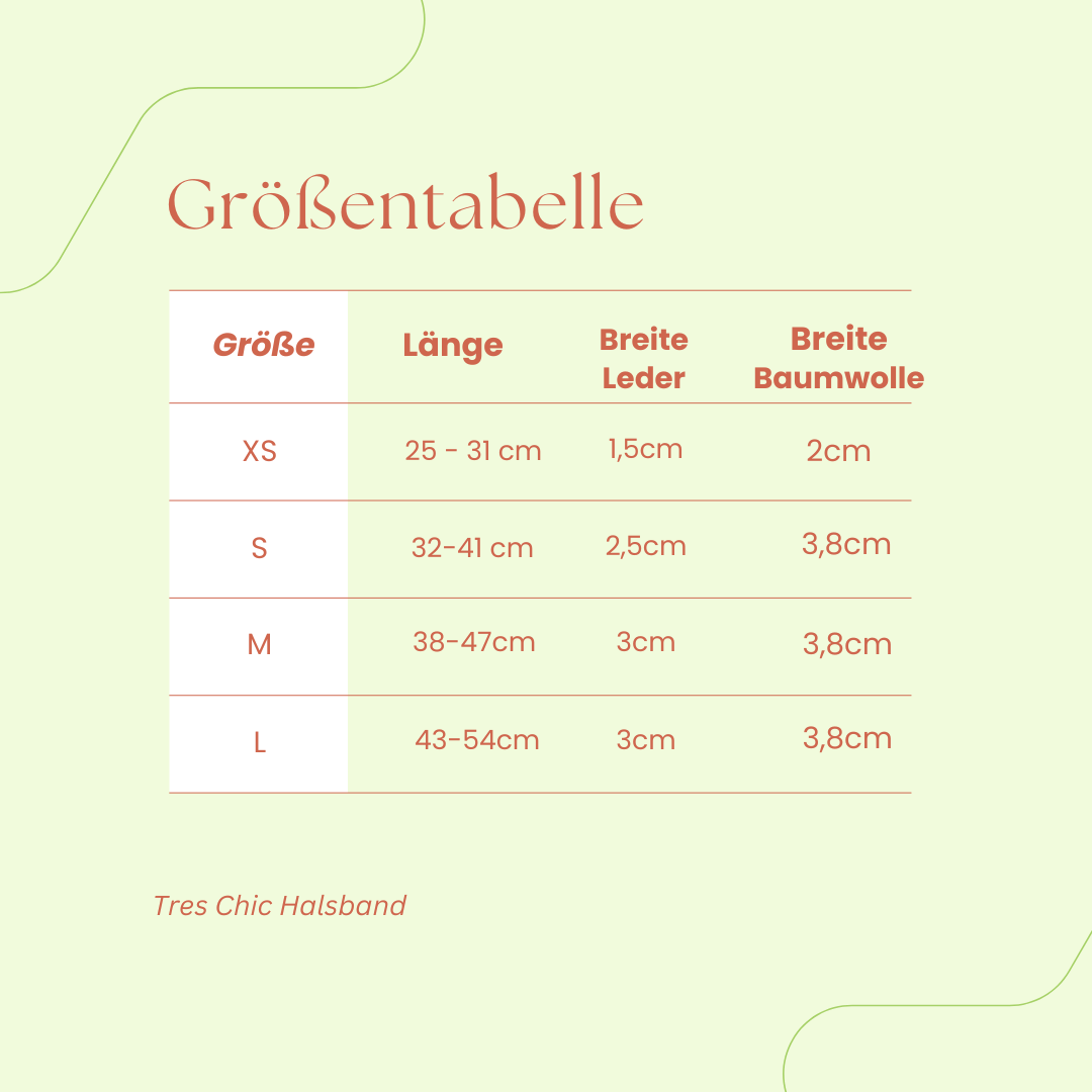 Sparset: Halsband & Leine in Anthrazit/Eisblau - Pfotenlieblinge