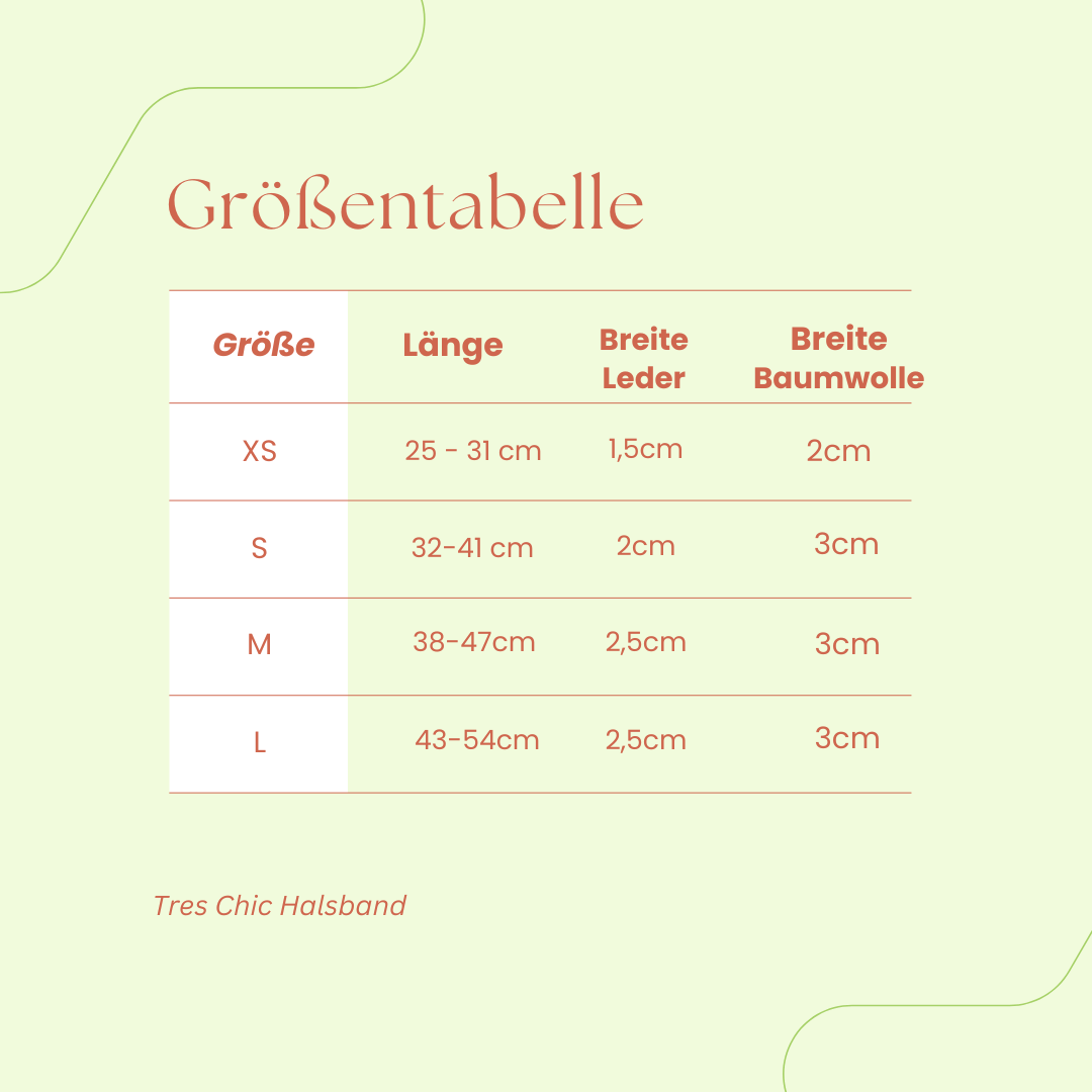 Sparset: Halsband & Leine in Mint/grün - Pfotenlieblinge