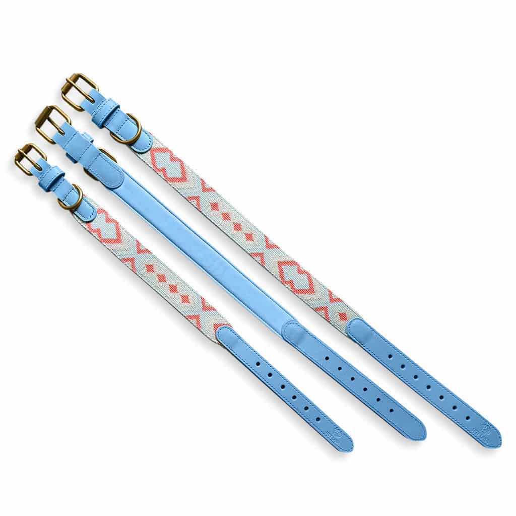 Sparset: Halsband & Leine in Coral/Blau